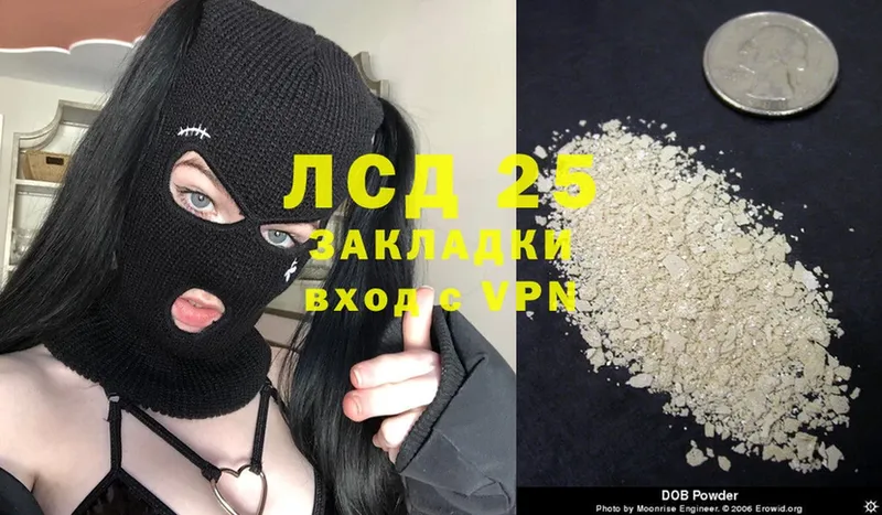 закладки  Чкаловск  Лсд 25 экстази ecstasy 